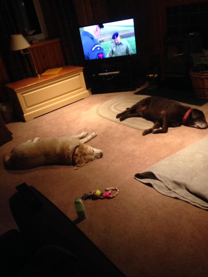 Brady & Coco - Elsa Williams