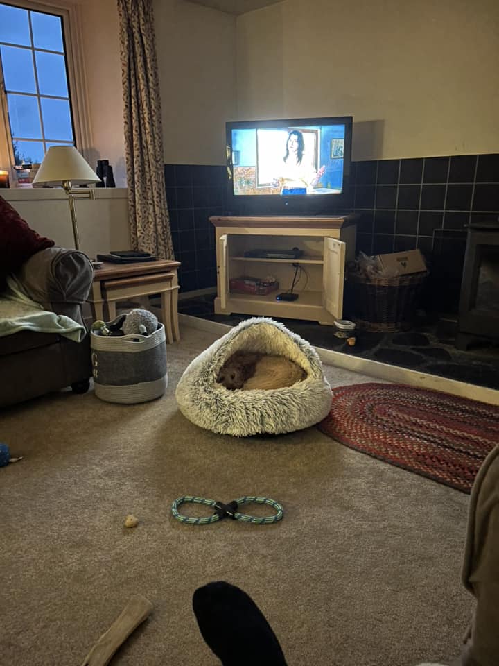 Hugo2 - Susan Higgins