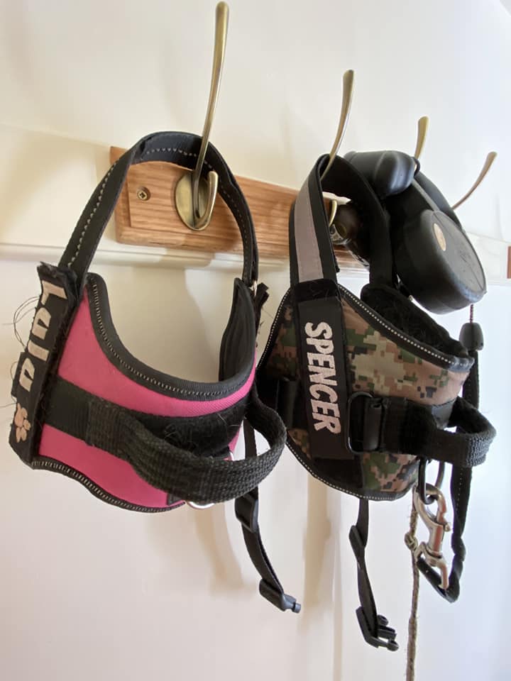 Spencer & Lula - Gary Maguire